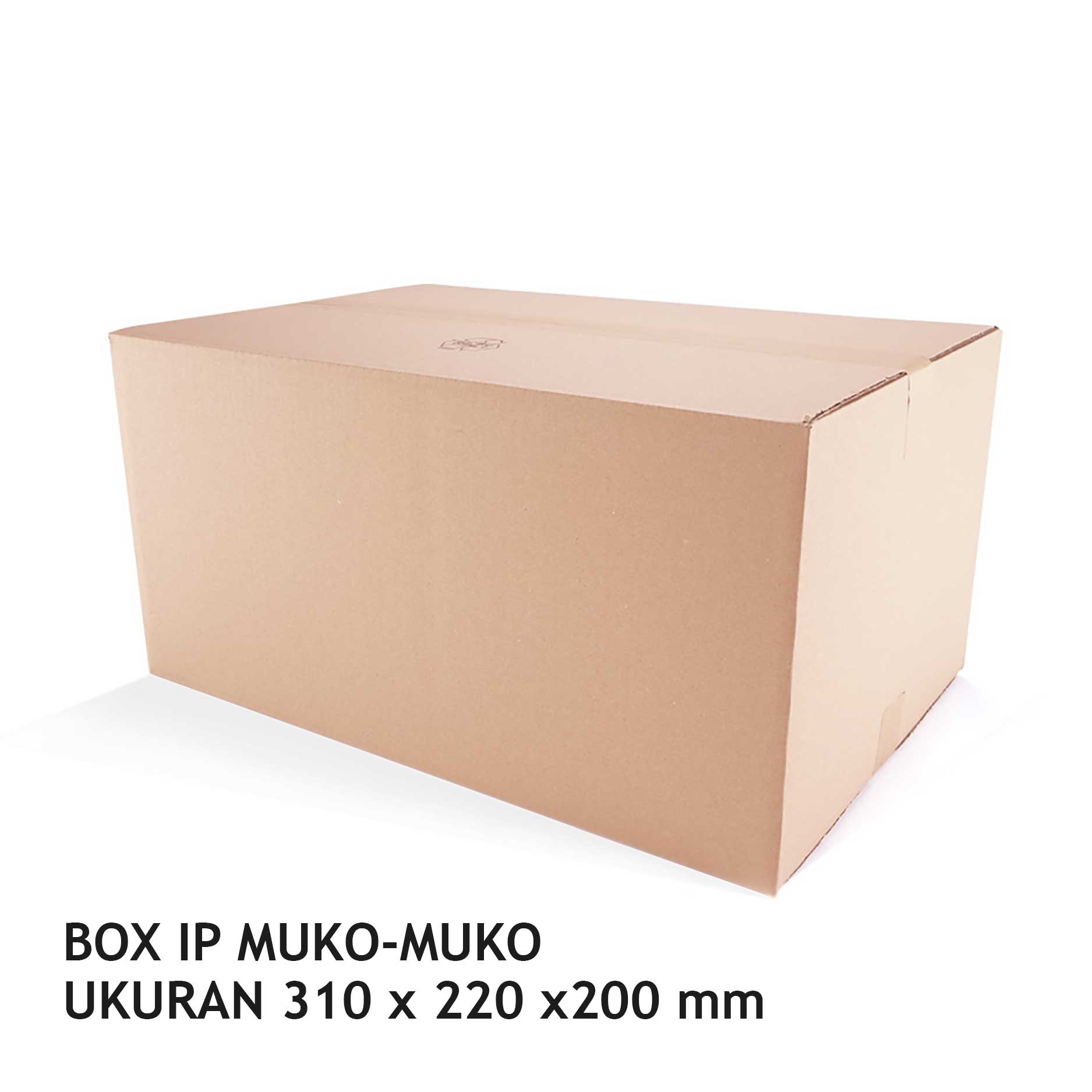 Kardus IP Muko-Muko UK 31 X 22 X 20 cm